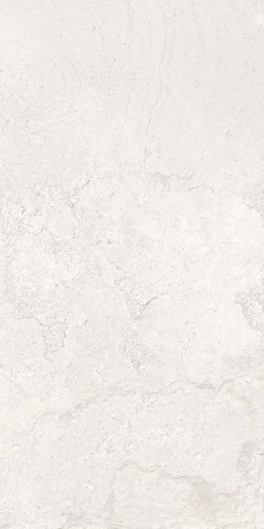 Petra Viva Bone Matte 12 x 24
